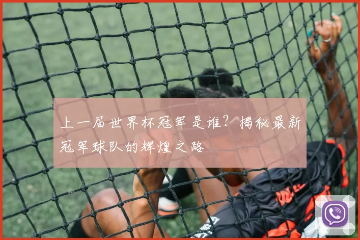 上一届世界杯冠军是谁？揭秘最新冠军球队的辉煌之路